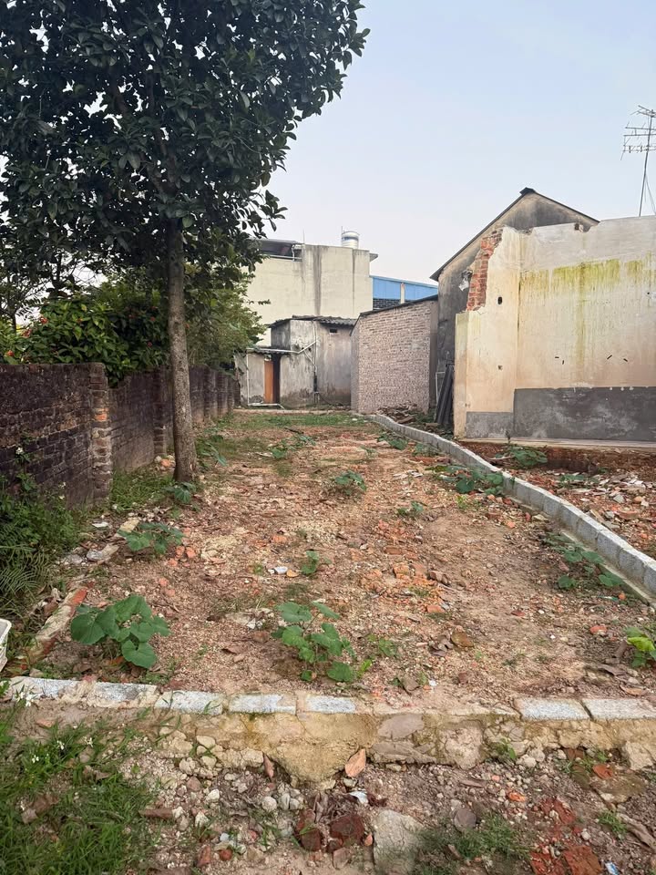 Đất Tân Lập Thái Nguyên 75m² giá 1.2 tỷ - Đường ô tô vào tận đất!