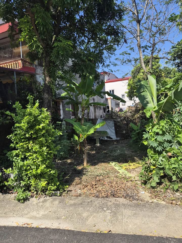 Đất nền phố Phúc Trì 124m² giá 3 tỷ - Cơ hội đầu tư sinh lời hấp dẫn!