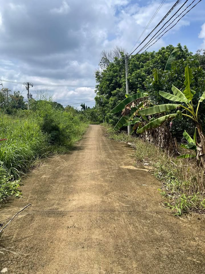 Đất nền 1 sào Kim Thượng, Gia Kiệm, Thống Nhất 3600m² - Giá 1.25 tỷ, cơ hội đầu tư sinh lời!