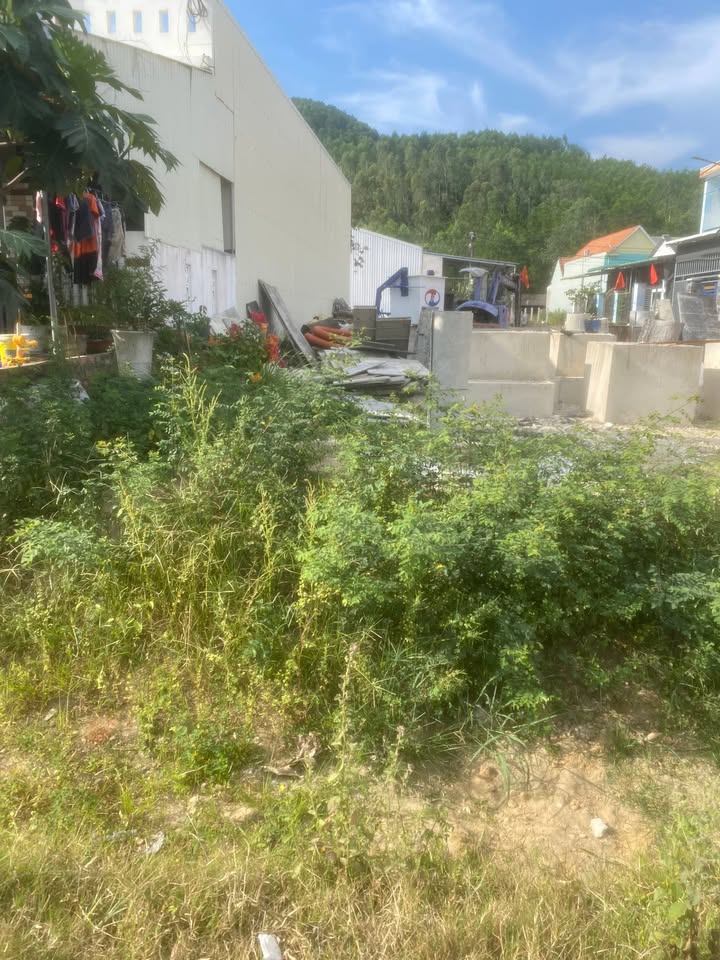 Đất nền mặt tiền đường Quang Trung, Đức Phổ 100m² - Đầu tư sinh lời ngay!