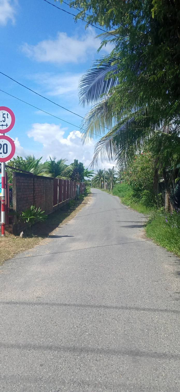 Đất 1000m² tại xã Mỹ Thạnh Đông, Đức Huệ - Giá chỉ 700 triệu, sổ đỏ chính chủ!