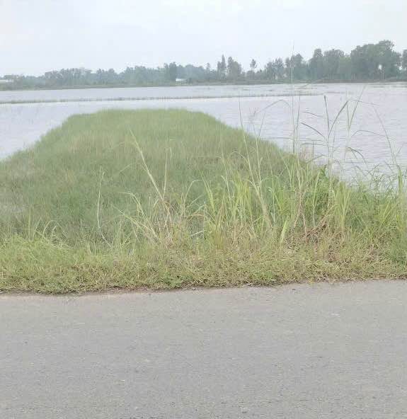 Đất thổ cư mặt tiền Nhựa, xã Tân Phú, 300m² giá 1.87 tỷ - Cơ hội đầu tư tuyệt vời!