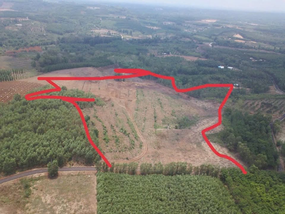 Đất nền mặt tiền đường nhựa Sơn Bình, Châu Đức 2.4ha giá 11 tỷ - Cơ hội đầu tư hấp dẫn!