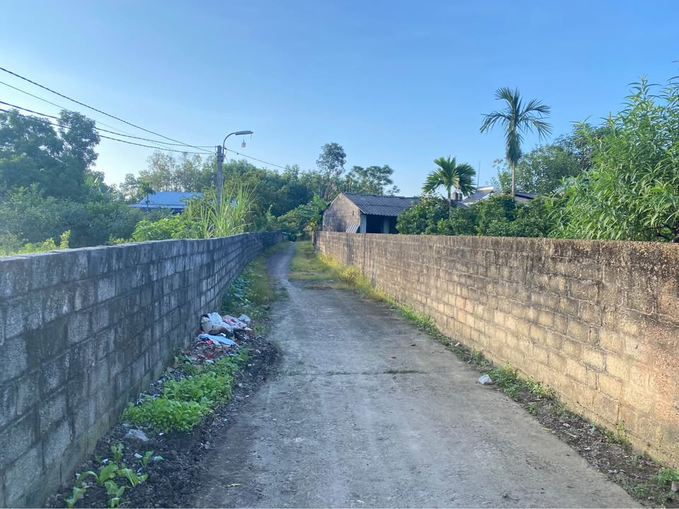 Đất thổ cư 1.800m² tại Thịnh Đức - Giá chỉ 5.4 tỷ - Cơ hội vàng cho nhà đầu tư!