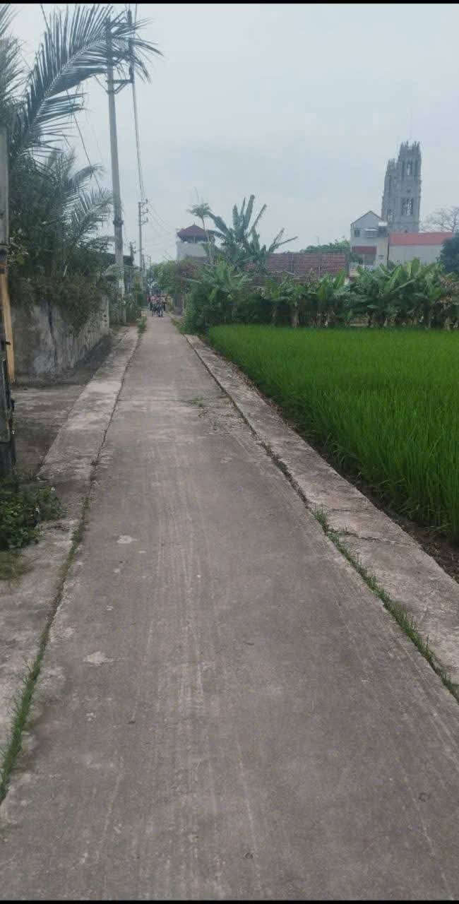 Đất thổ cư 100% tại Nghĩa Lạc, 22m² chỉ 700 triệu - Chủ cần bán gấp!