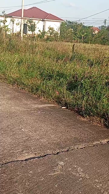 Đất nền Kỳ Thọ - Kỳ Anh 400m² giá thỏa thuận - Vị trí đắc địa gần chợ và trường học!