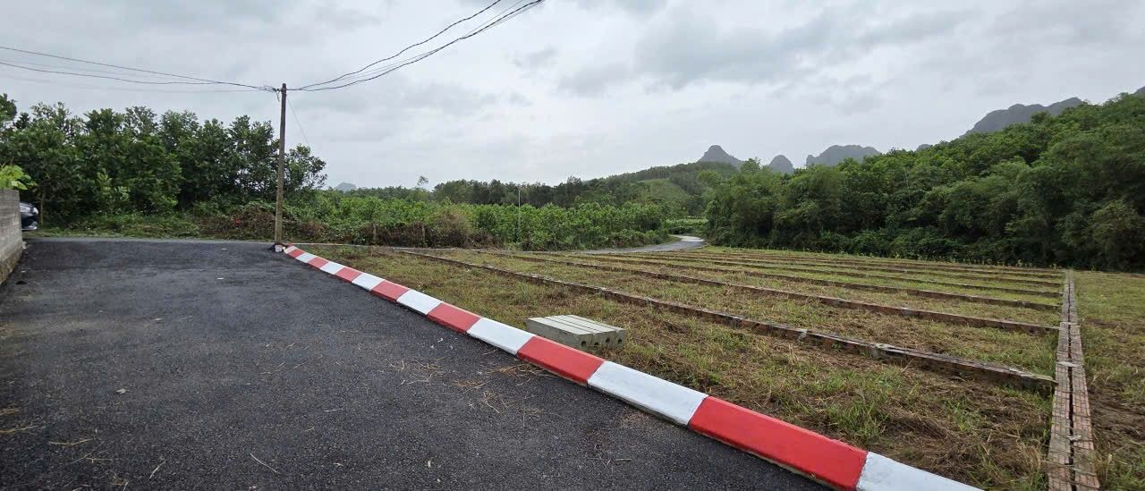 Đất nền An Bình Lý Nhân 101m² chỉ 195 triệu - Cơ hội đầu tư tuyệt vời!