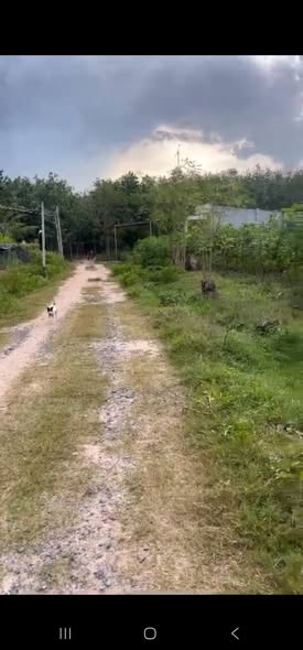 Đất thổ cư 300m² An Cơ Châu Thành giá 2.55 tỷ - Đầu tư sinh lời ngay!