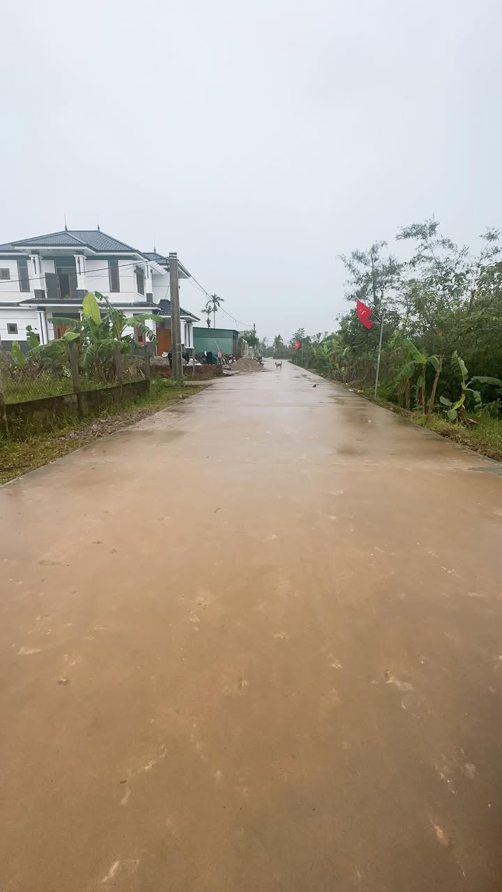 Lô đất Cẩm Bình 175m² giá 1 tỷ - Vị trí trung tâm thuận lợi!