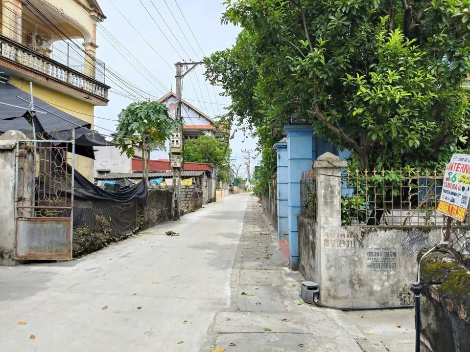 Đất thổ cư 150,1m² tại Đan Kim, Văn Giang - Giá mềm cho nhà đầu tư!