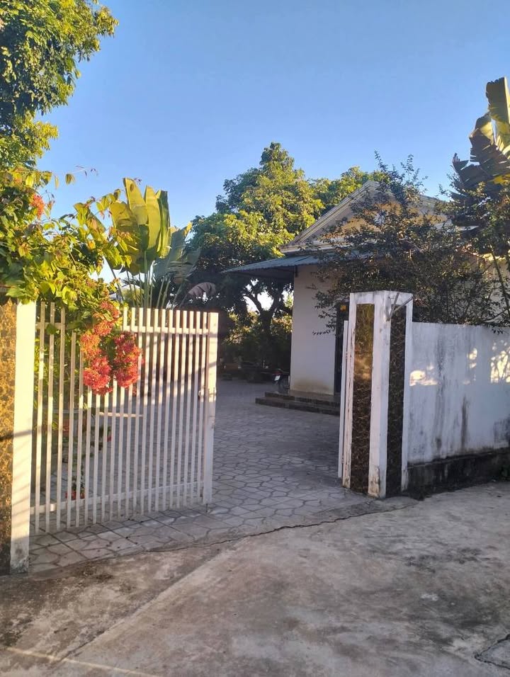 Đất nền chính chủ xã Thanh Chăn 1300m² giá 1.4 tỷ - Sổ đỏ đầy đủ, tiện ích xung quanh