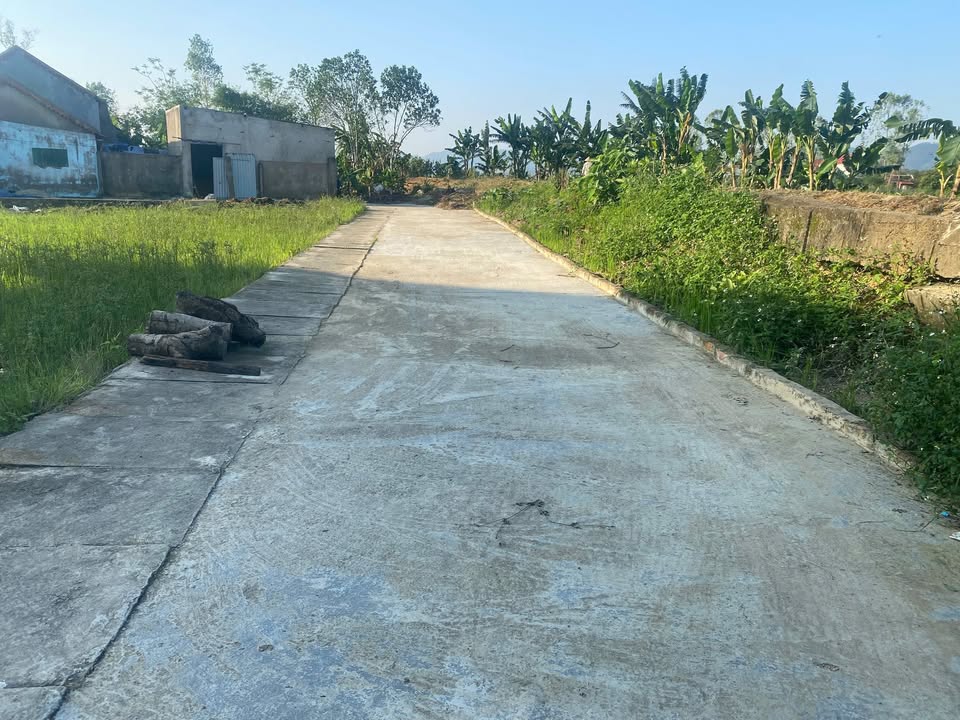 Đất nền Xóm Vân Hội, xã Kim Liên, 110m² giá chỉ 1.15 tỷ - Cơ hội đầu tư tuyệt vời!