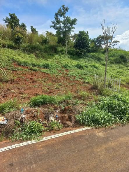 Đất Lộc Ngãi 247m² giá chỉ 349 triệu - Cơ hội đầu tư sinh lời!