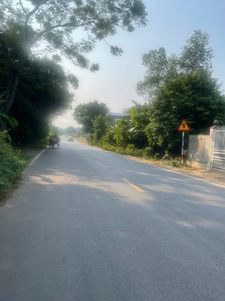 Đất nền khu 1, xã Ninh Dân, Thanh Ba 177m² giá 1.2 tỷ - Đầu tư sinh lời ngay!