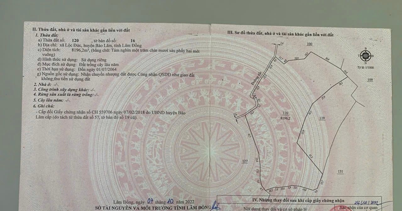 Đất Lộc Đức Bảo Lâm 8196m² giá 2.049 tỷ - Cơ hội đầu tư tuyệt vời!