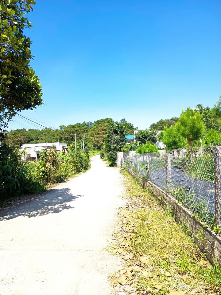 Nhà cấp 4 Lộc Châu Bảo Lộc 580m² giá 2.4 tỷ - Gần Quốc lộ 20