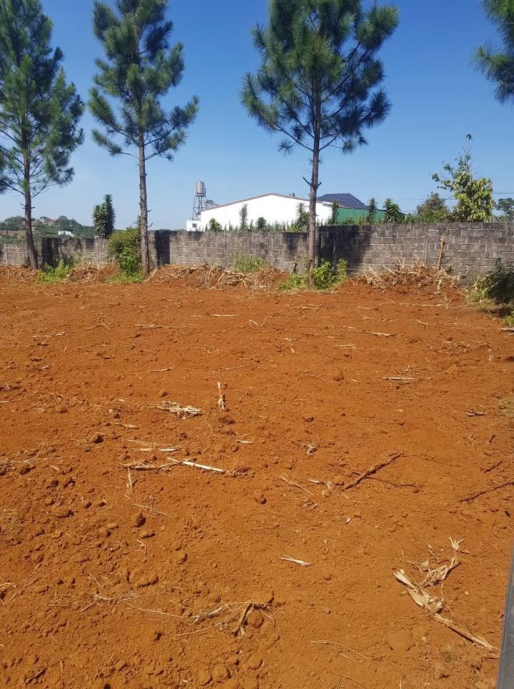 Đất thổ cư 250m² tại Thôn 7, Đường Tản Đà, TP Bảo Lộc - Giá 2.5 tỷ, đầu tư lý tưởng!