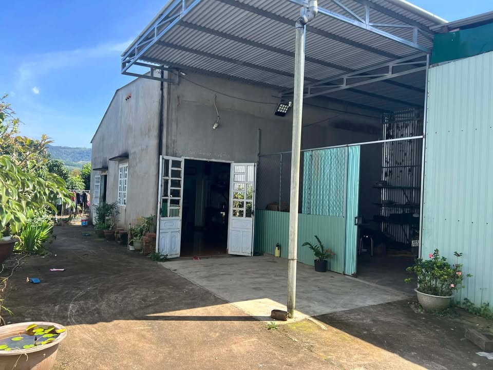 Nhà mặt tiền thôn 7 Đại Lào 440m² giá 4.2 tỷ - Tiện kinh doanh đắc địa!