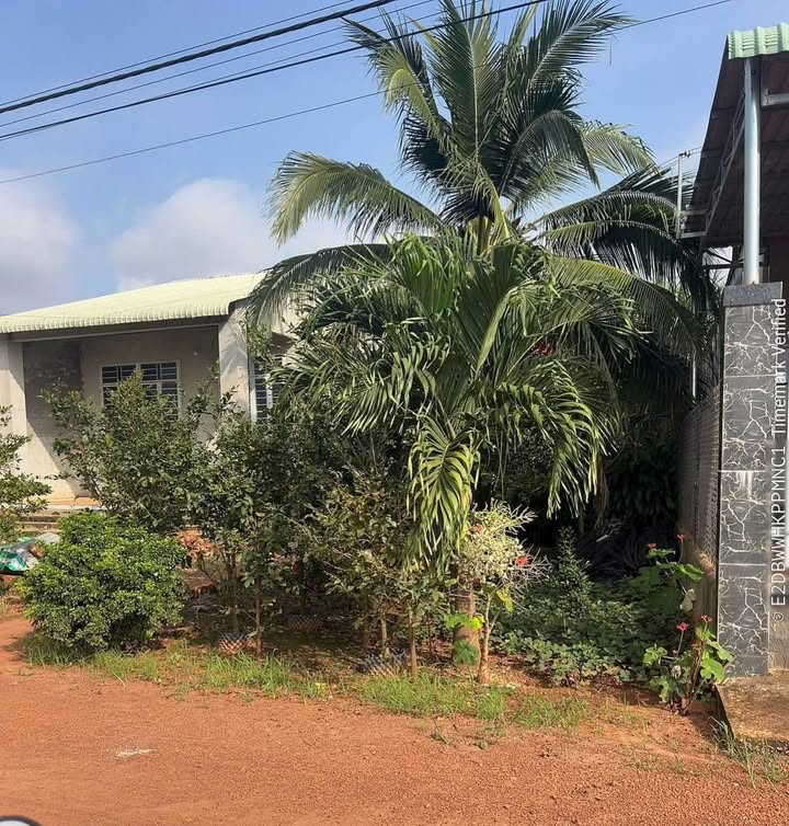 Đất nền Tân Hưng, Tân Châu 315m² giá 300 triệu - Cơ hội đầu tư hấp dẫn!