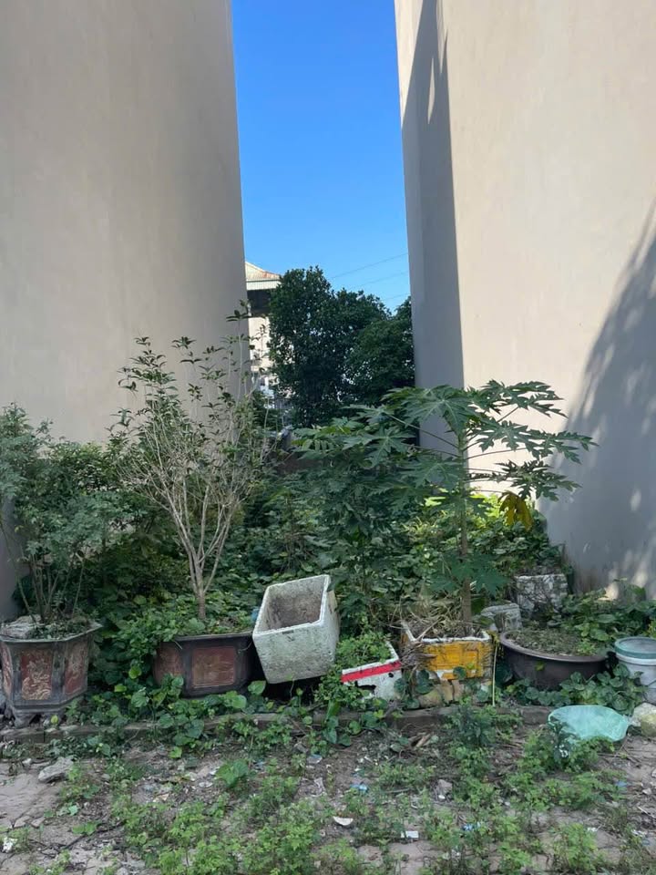 Bán đất mặt đường Đặng Đoàn Bằng, KĐT Thống Nhất 61,87m² - Giá tốt, thương lượng!