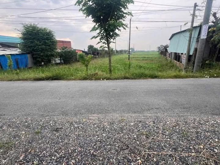 Đất nền 1000m² mặt tiền đường An Thạnh, Châu Thành, Long An - Giá hợp lý chỉ 1.8 tỷ