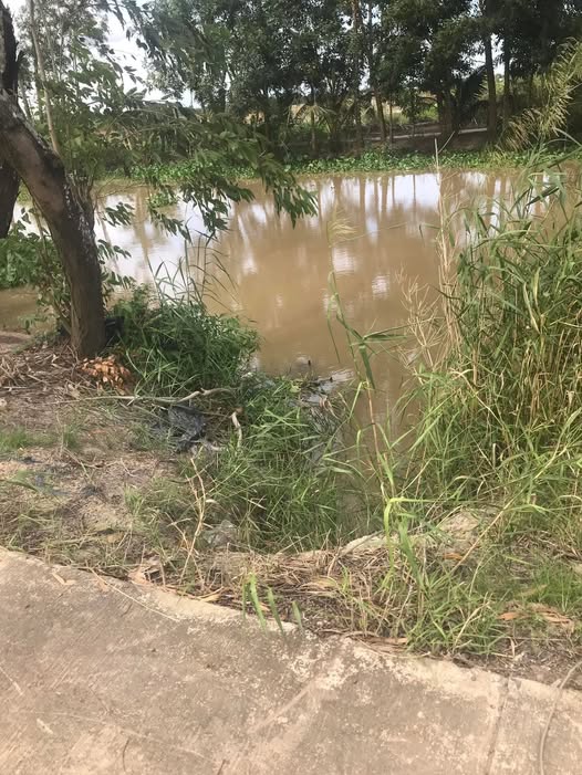 Đất nông nghiệp Viên An, Trần Đề 22 công giá 3.3 tỷ - Mặt tiền lộ bê tông 95m!