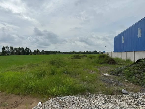 Đất nền mặt tiền Nam Kỳ Khởi Nghĩa, Sóc Trăng 1.354m² - Giá chỉ 2.8 tỷ!