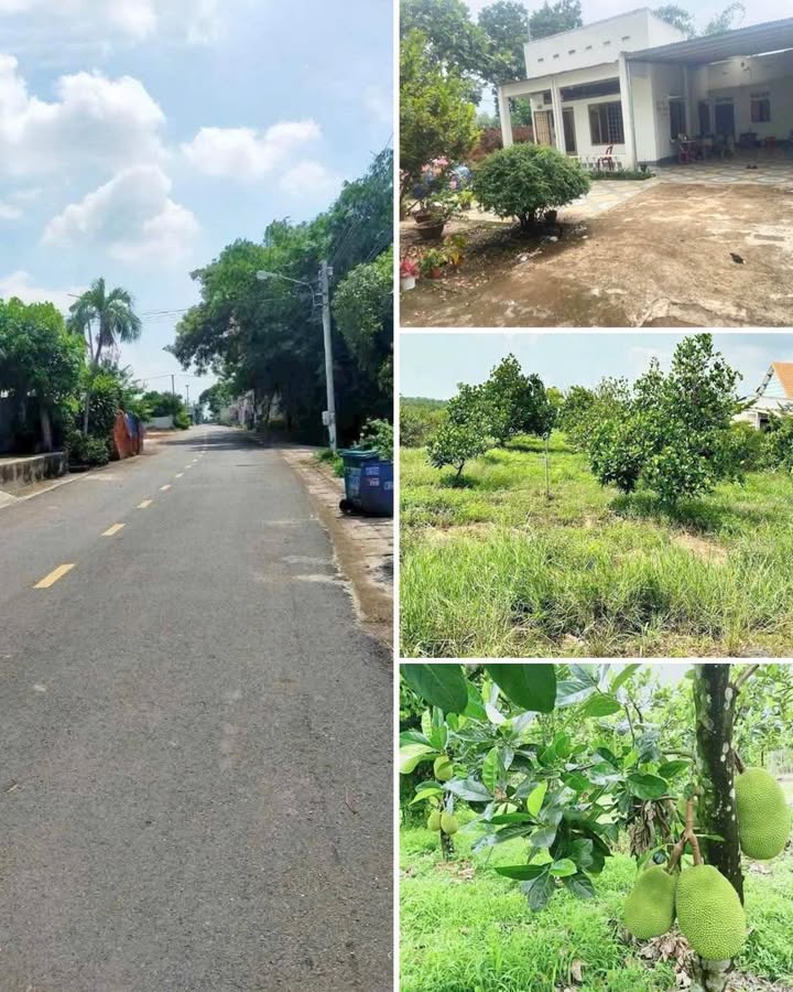 Nhà vườn cấp 4 tại Minh Hưng, Chơn Thành 1000m² - Giá chỉ 310 triệu!