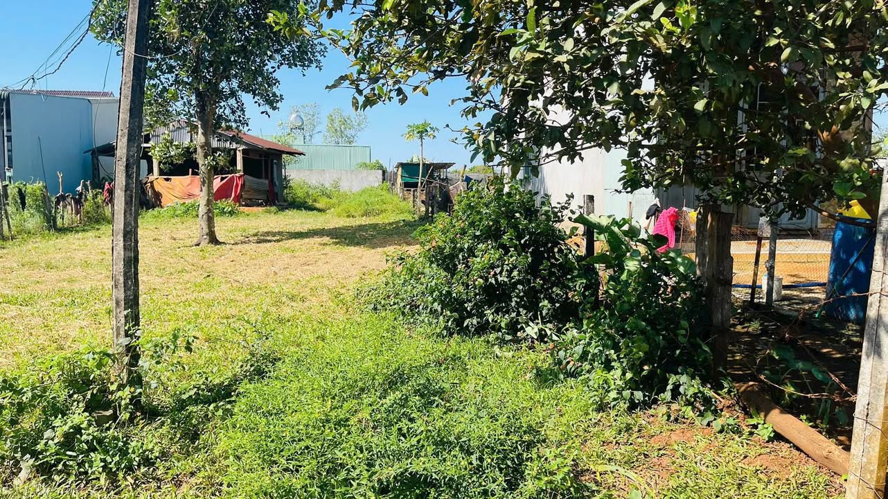 Đất nền Đồi Thông, Pleiku 200m² giá 900 triệu - Sổ đỏ chính chủ, thuận tiện đầu tư!