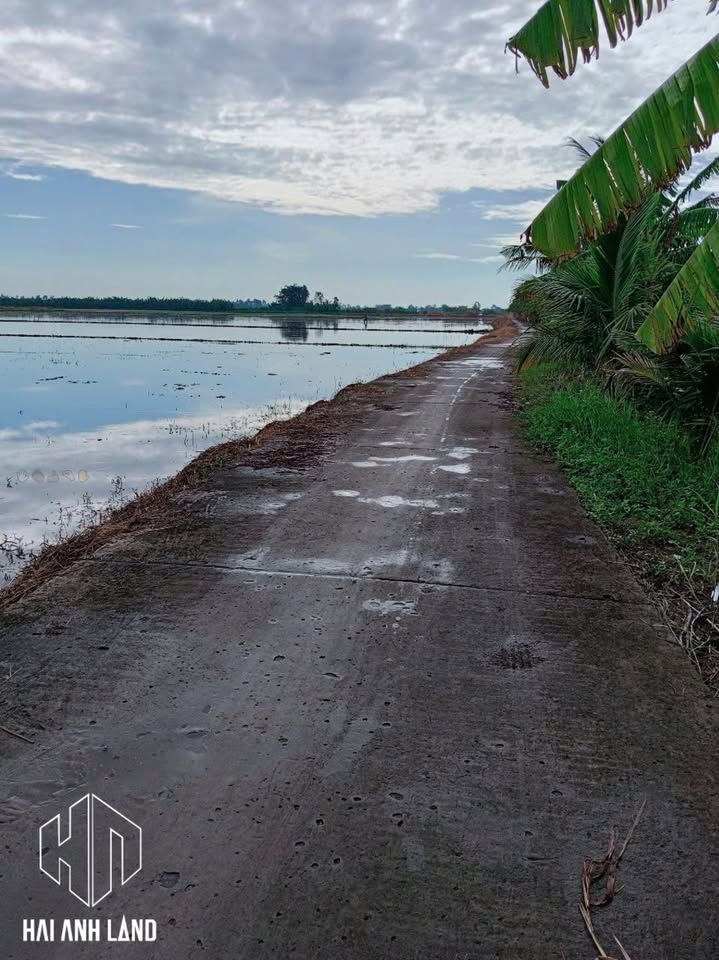 Đất nền Ấp Tà Tây, Rạch Giá 7330m² giá 2.858 tỷ - Đầu tư sinh lời!