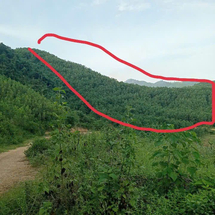 Đất nền 8ha xã Đú Sáng, huyện Kim Bôi - Giá chỉ 2 tỷ - Sổ công chứng ngay