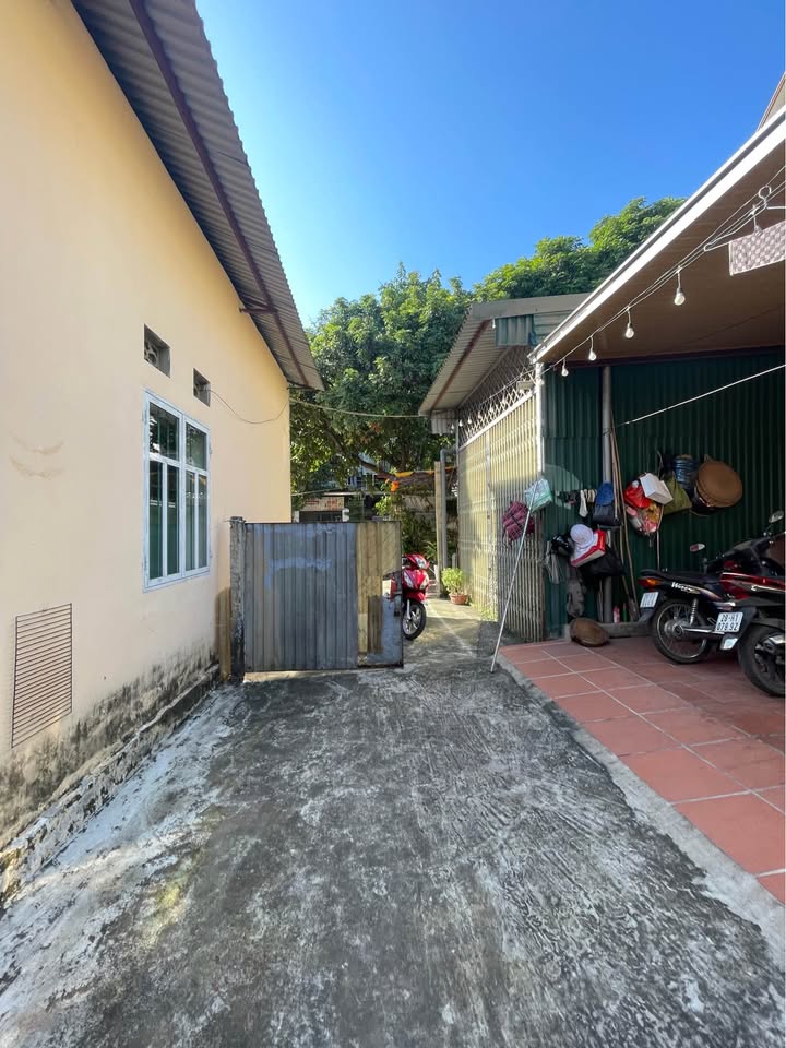 Đất thổ cư Tổ 3 Tân Thịnh 61m² giá 900 triệu - Đầu tư sinh lời ngay!