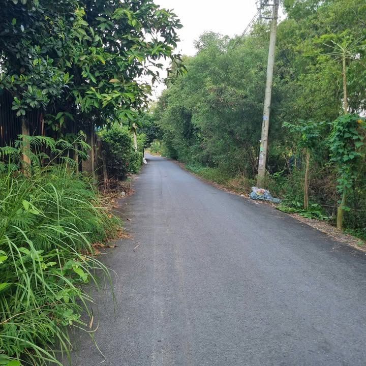 Đất nền Hưng Long, Bình Chánh 140m² giá 2.2 tỷ - Cơ hội đầu tư sinh lời!