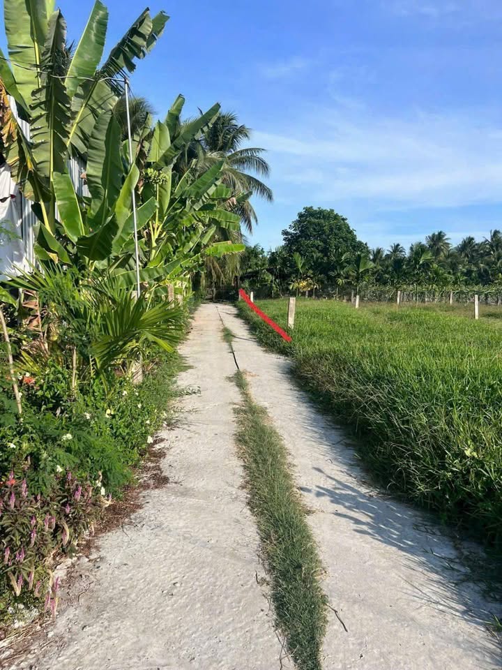 Đất nền An Thạnh Thủy, Chợ Gạo 120m² giá 185 triệu - Đầu tư sinh lời ngay!