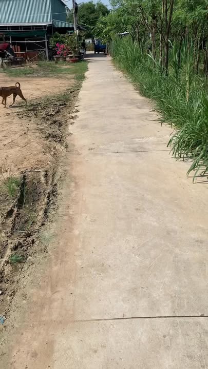 Đất 2 mặt tiền tại Sơn Qui B, Gò Công 150m² giá chỉ 320 triệu - Cơ hội đầu tư tuyệt vời!