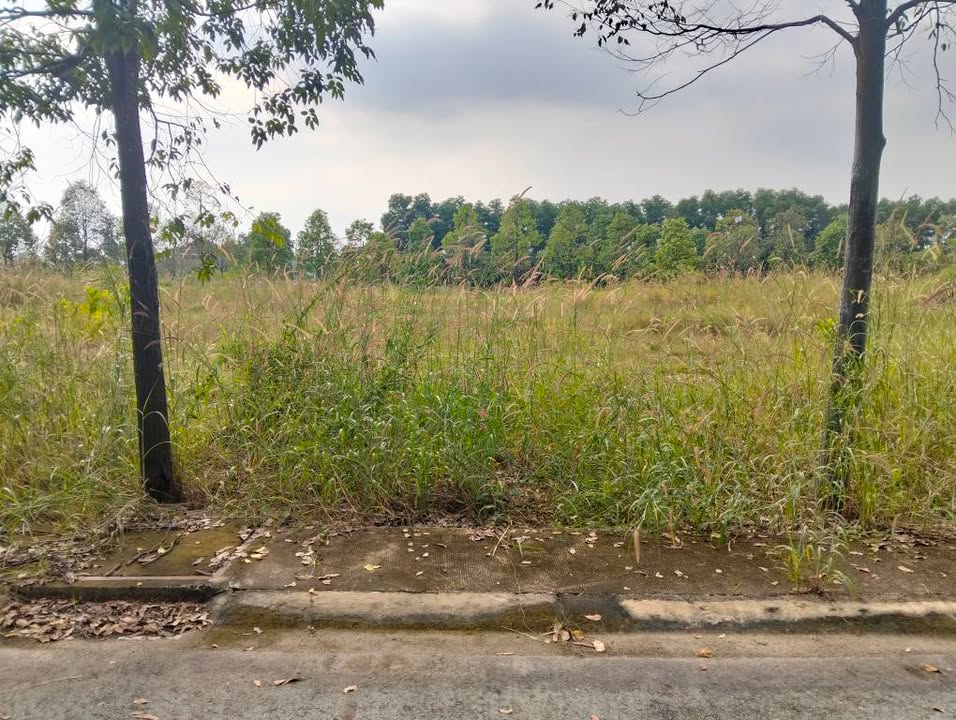 Đất nền đường D3a, phường Thới Hòa 150m² - Giá cực tốt, chính chủ bán!