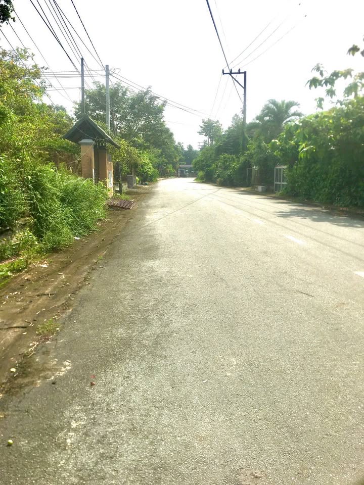 Nhà cấp 4 187m² phường Chánh Mỹ, Thủ Dầu Một - Bán gấp giá chỉ 2.35 tỷ