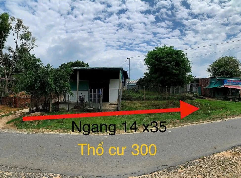 Đất nền 493,4m² tại Quốc lộ 24 cũ, xã Đăk Blà - Đầu tư sinh lời ngay!