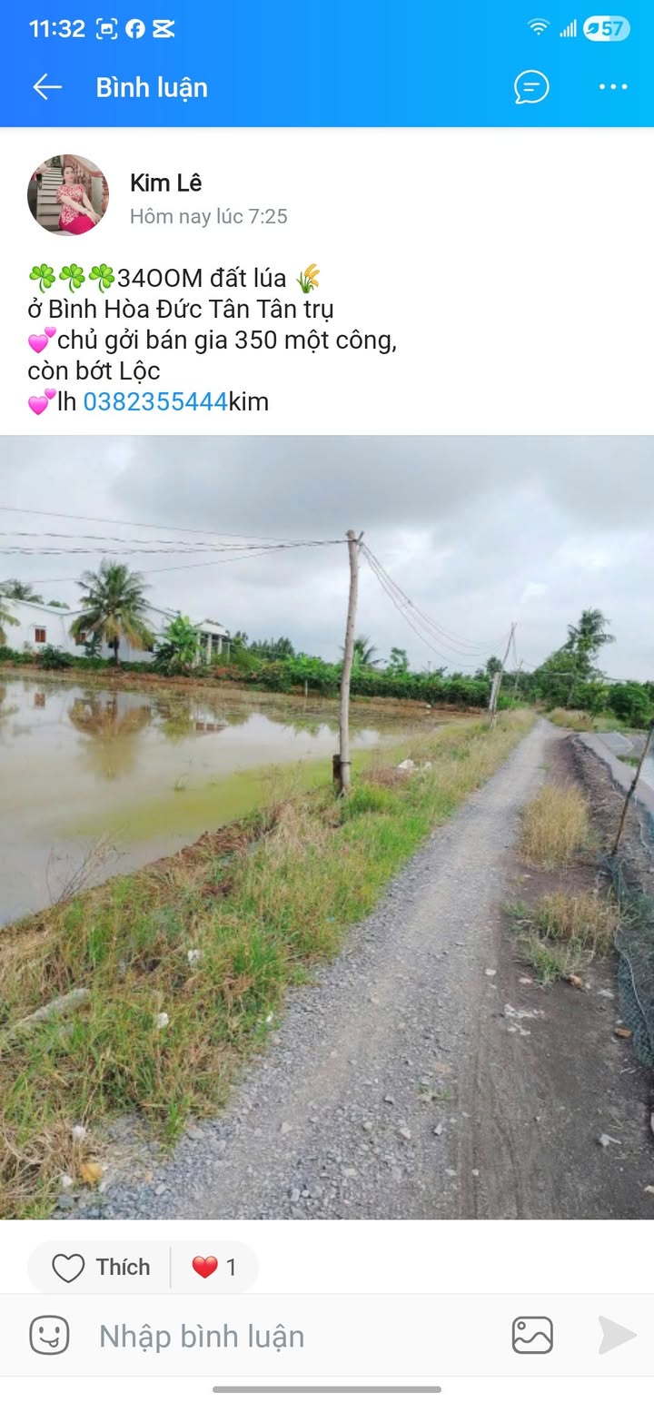 Đất lúa 34.000m² tại Đức Tân, Tân Trụ, Long An - Giá chỉ 1.26 tỷ VND, cơ hội đầu tư tuyệt vời!