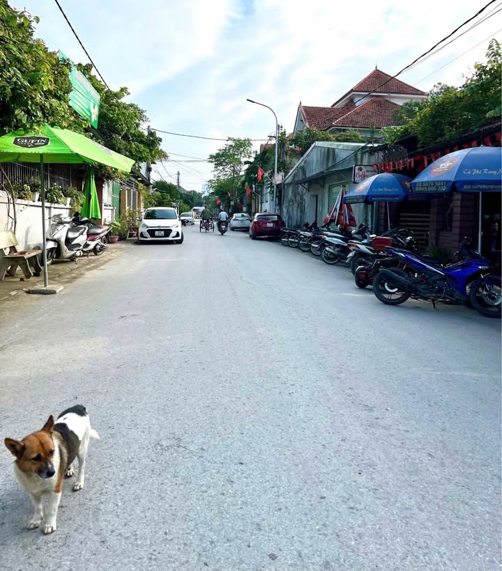 Đất mặt đường Hồ Phi Tích, Vinh 94m² giá 3 tỷ - Đầu tư lý tưởng!