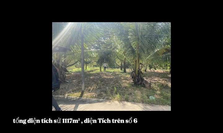 Nền biệt thự nhà vườn Cửa Dương 624m² - Sổ đỏ chính chủ, giá đẹp cho nhà đầu tư!