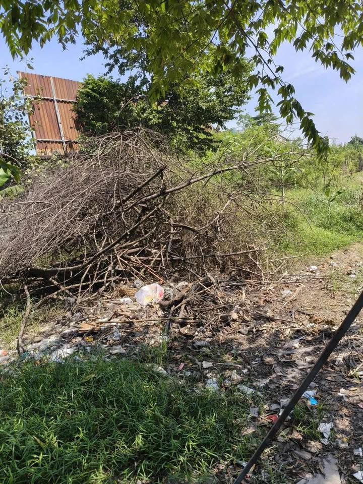 Đất nền Vĩnh Lộc, Bình Chánh 56m² giá 520 triệu - Cơ hội đầu tư hấp dẫn!