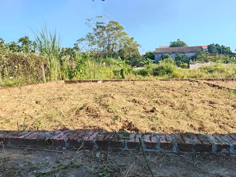 Đất nền Quang Minh, Mê Linh 50m² - Sổ đỏ chính chủ, giao dịch ngay!