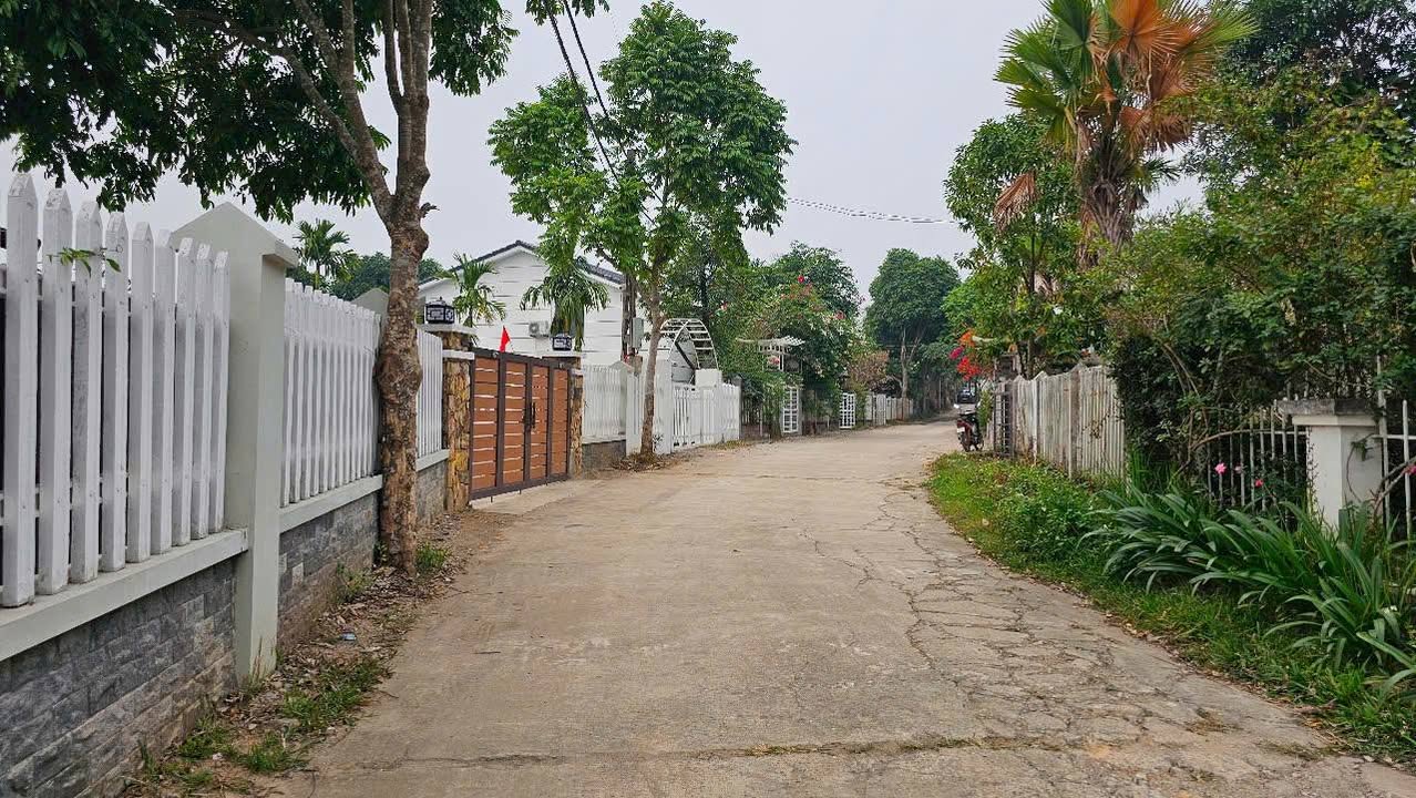 Đất nghỉ dưỡng Cư Yên, Lương Sơn, Hòa Bình 600m² - View đẹp, an ninh tuyệt đối!