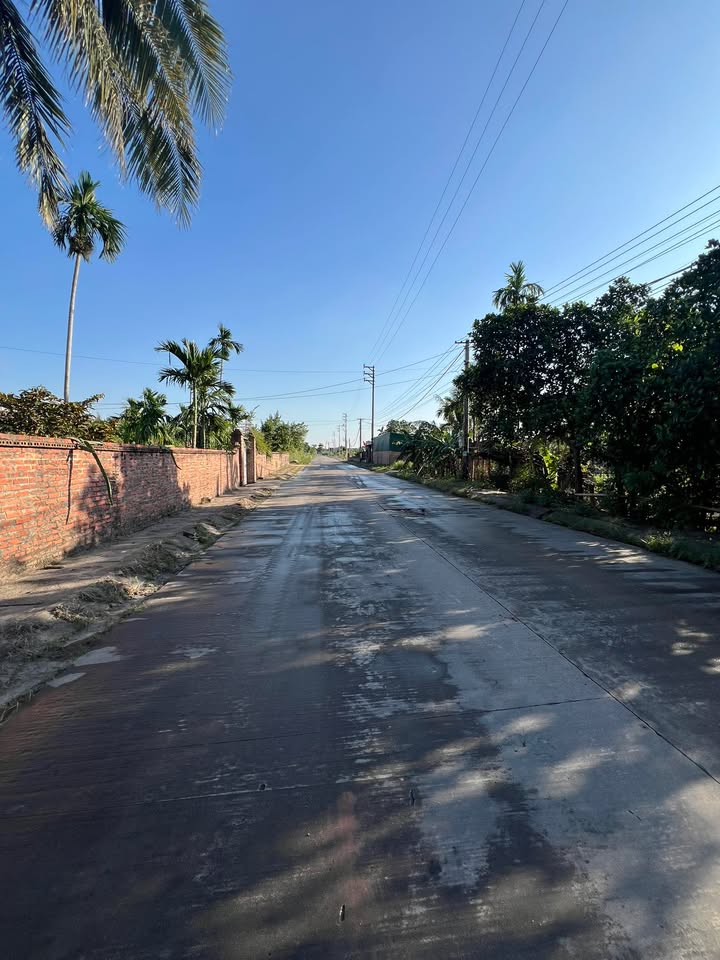 Đất mặt đường chính khu phố 10 Thanh Sơn, 180m² giá 1.3 tỷ - Cơ hội đầu tư hấp dẫn!