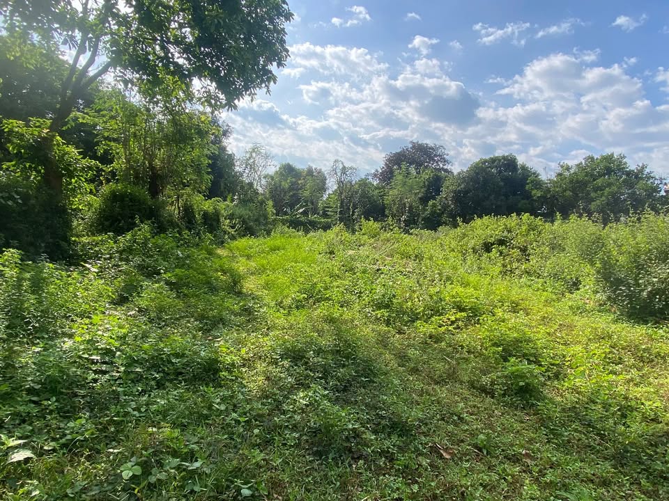 Lô đất mặt đường B4 phường Buôn Ma Thuột 400m² giá 2.55 tỷ - Đầu tư sinh lời lý tưởng!