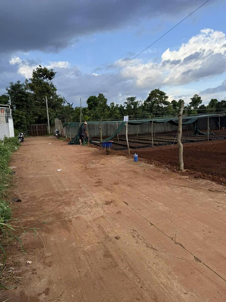 Đất nền Hòa Thắng 240m² giá 1.35 tỷ - Đường ô tô tránh nhau!