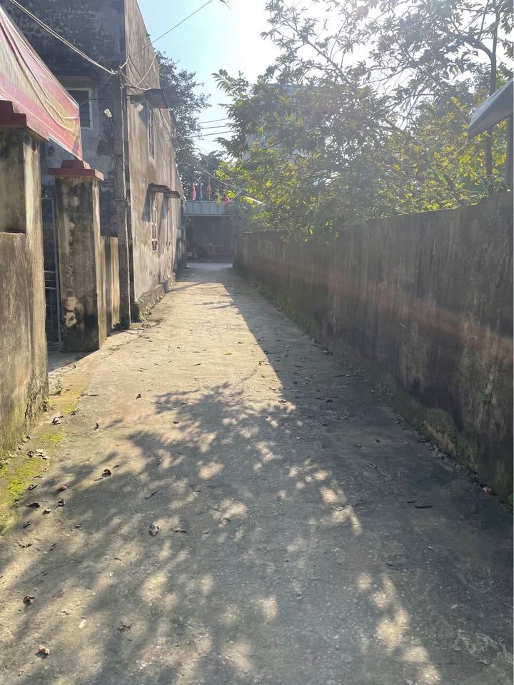 Đất nền Quảng Thành, Thanh Hóa 84m² giá 1.29 tỷ - Đường ô tô thuận tiện!