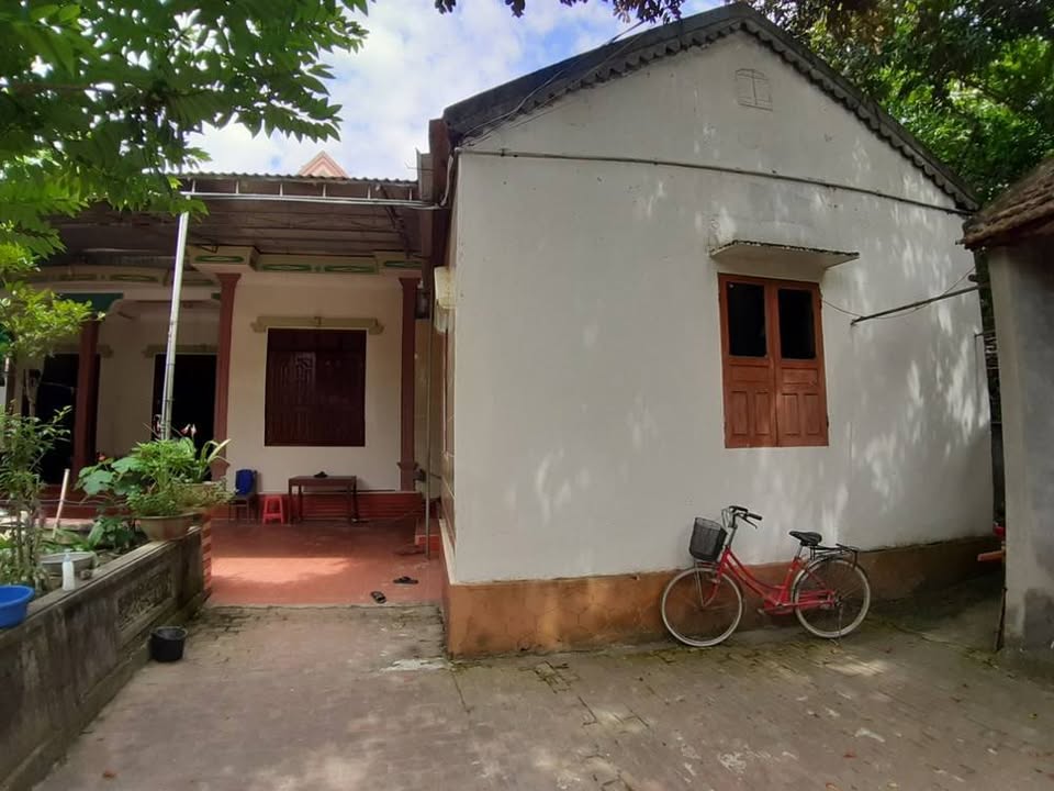 Nhà cấp 4 phường Tào Xuyên 113m² giá 8xx triệu - Hướng Đông Bắc thoáng mát!