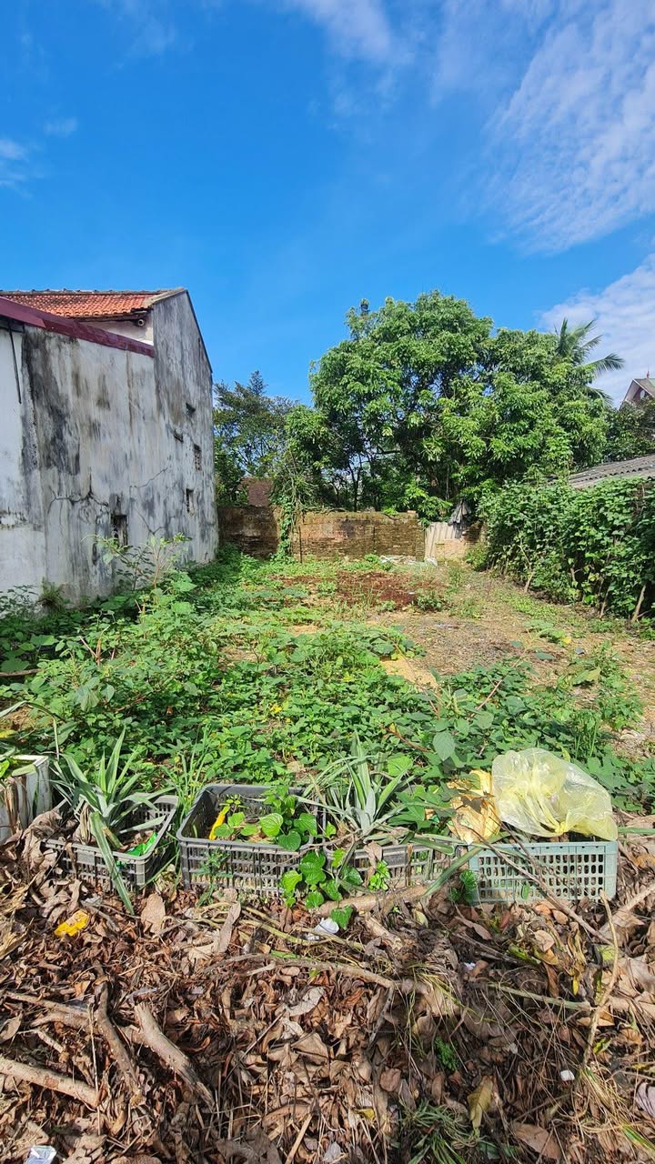 Đất nền trung tâm Đông Lĩnh 93m² giá 999 triệu - Ngõ ô tô thông thoáng!